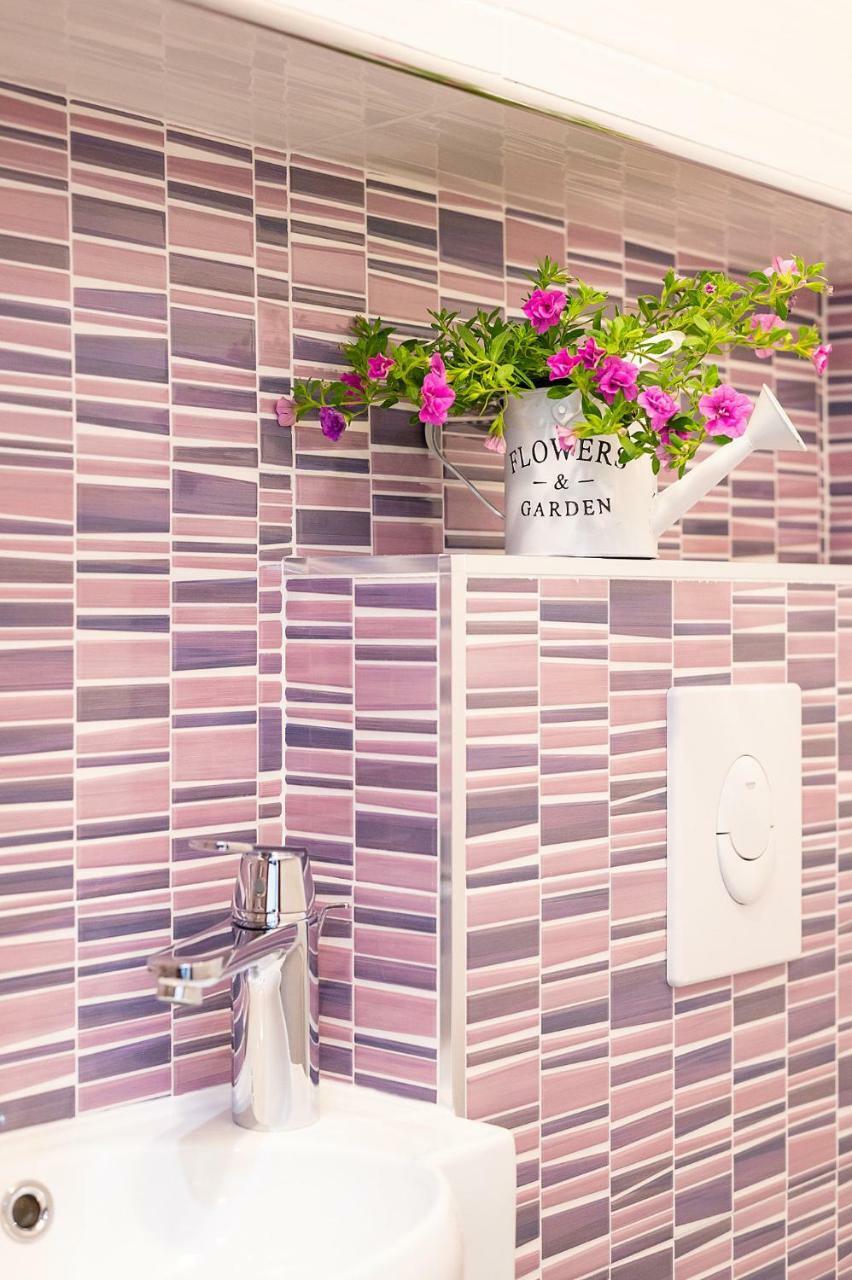 Apartment Auretta Novigrad Istria Dış mekan fotoğraf