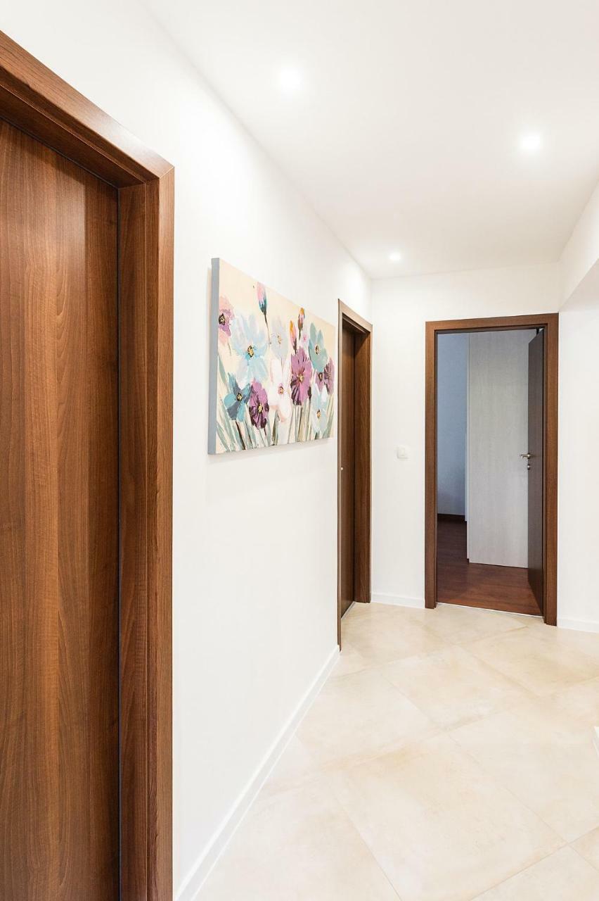 Apartment Auretta Novigrad Istria Dış mekan fotoğraf